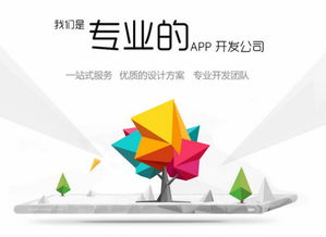 福州APP開發(fā)費用解析與網(wǎng)絡(luò)開發(fā)質(zhì)量保障
