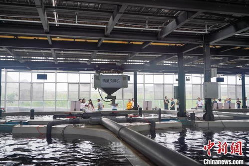 巴掌田上出實招 科技讓重慶山地農業更智慧